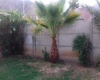 Lampa, Región Metropolitana, 3 Bedrooms Bedrooms, ,1 BañoBathrooms,Casa,Para Arriendo,1001