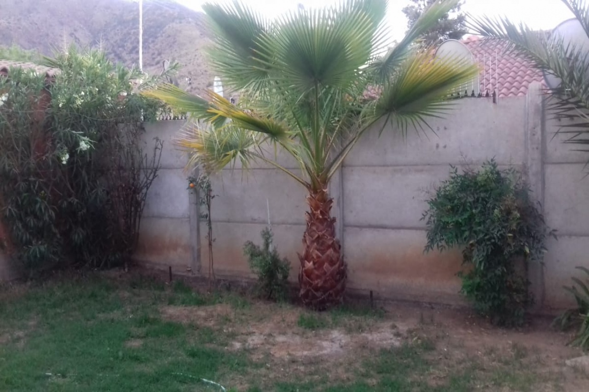 Lampa, Región Metropolitana, 3 Bedrooms Bedrooms, ,1 BañoBathrooms,Casa,Para Arriendo,1001