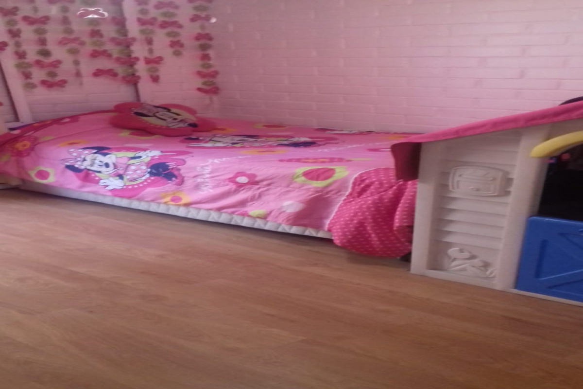 Puente Alto, Región Metropolitana, 3 Habitaciones Habitaciones, ,1 BañoBathrooms,Casa,Para Venta,1002