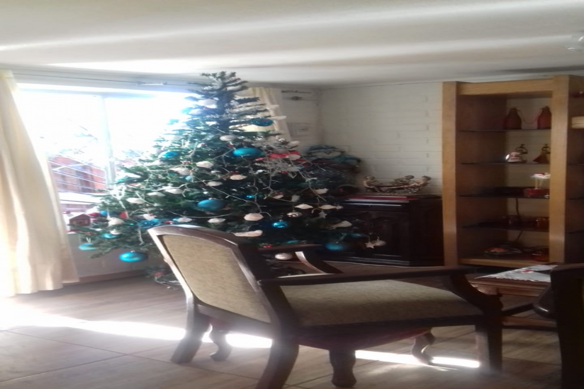 Puente Alto, Región Metropolitana, 3 Habitaciones Habitaciones, ,1 BañoBathrooms,Casa,Para Venta,1002