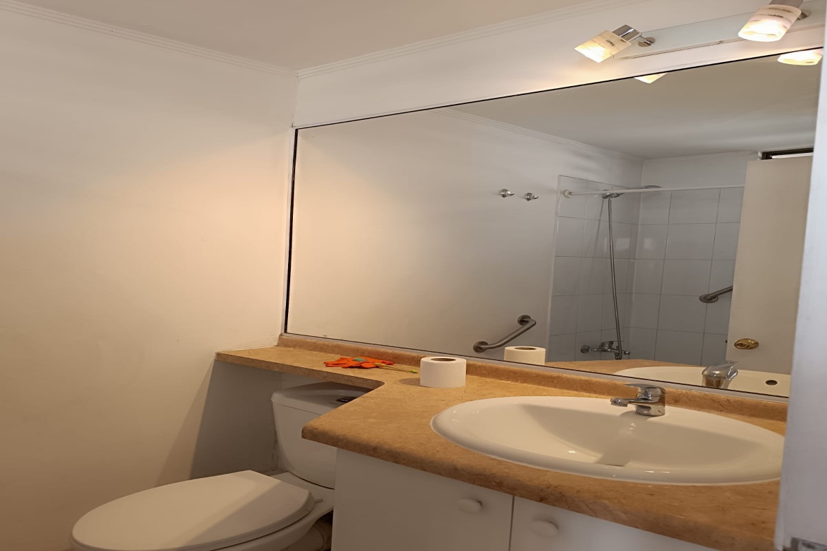 PUENTE ALTO, Región Metropolitana, ,Departamento,Para Arriendo,1052