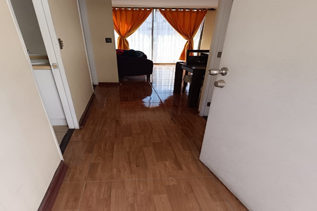 PUENTE ALTO, Región Metropolitana, ,Departamento,Para Arriendo,1052
